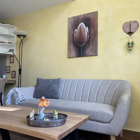 Gmelinstra_e 17 C Tatil Evi *